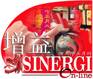 Sites Sinergi Logo